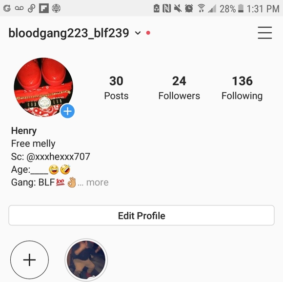 Meet your Posher, Henry - Picture 4 of 4